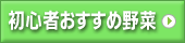 初心者おすすめ野菜
