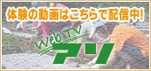 体験動画はこちらで配信中！