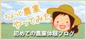 初めての農業体験ブログ