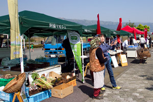 とれたて野菜ブース 写真