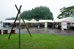 雨の開場 写真