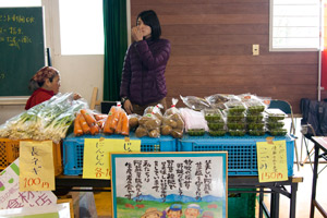 採れたて野菜 写真