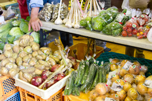 採れたて野菜ブース 写真