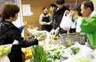 採れたて野菜ブース 写真