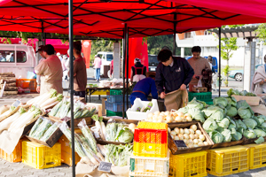 採れたて野菜ブース 写真