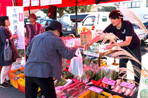 採れたて野菜ブース 写真