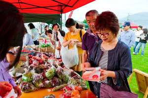 採れたて野菜ブース 写真