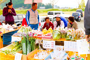 採れたて野菜ブース 写真